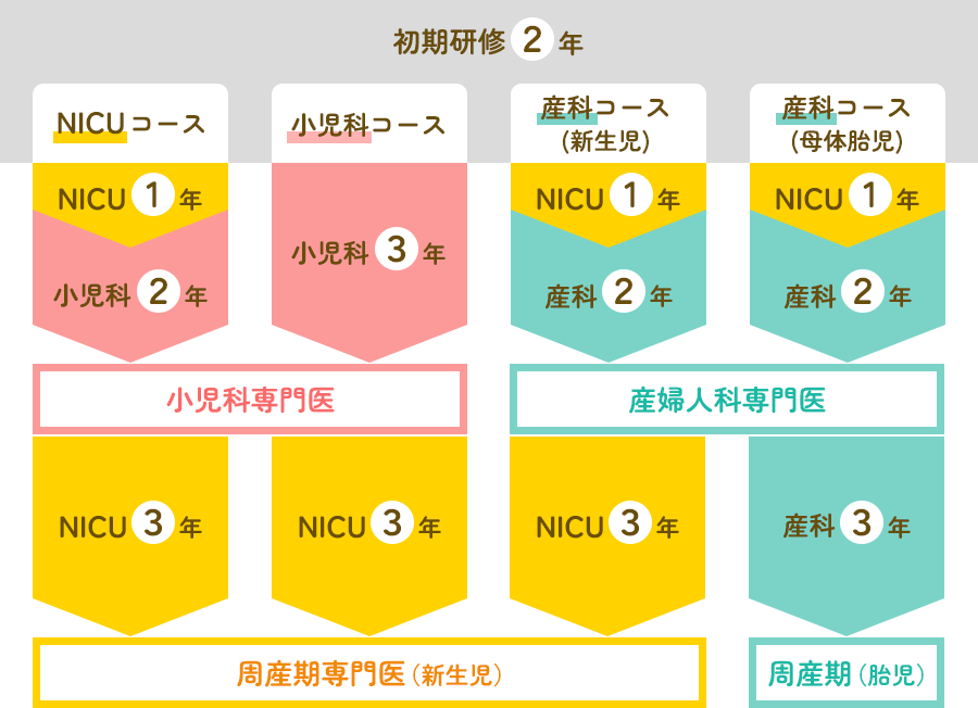 初期研修2年